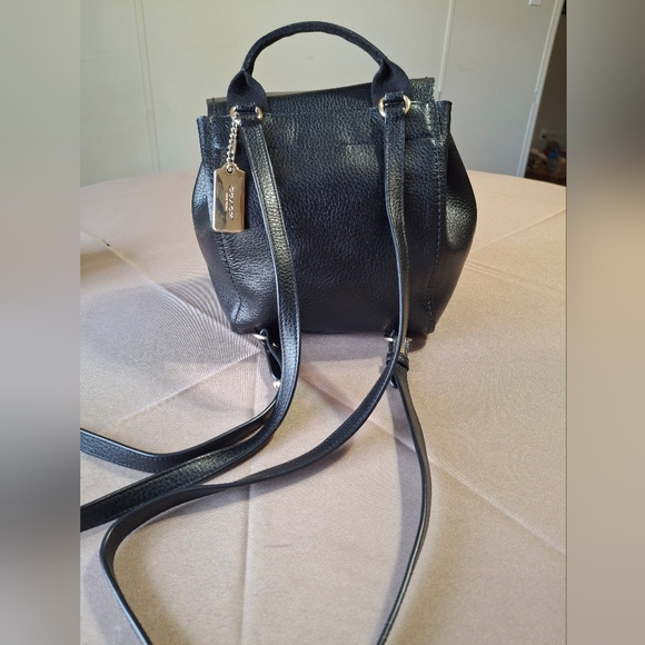 Coach F59819 Derby Mini Backpack - Picture 5 of 13